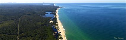 Dock Inlet - VIC (PBH3 00 33394)